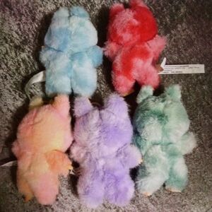 Colorful Plush Bear Set